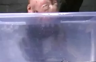 XXX الشقراء ذات الثديين برنامج تحميل افلام سكسي الكبيرين مغرمة بالرضا عن النفس!