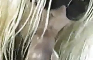 XXX شارلوت ستوكلي في الصب في الإباحية تنذيل سكسي