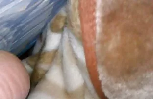 XXX لطيف تحميل فلام سكسي فتاة أصلع الرجل