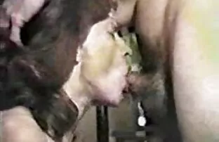 XXX على الأريكة قبل اللعين تنزيل فلام سكسي