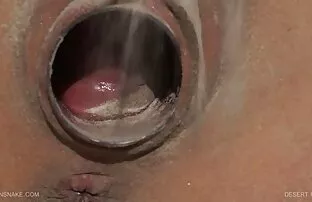 XXX فالنتينا Nappi و تنزيل افلامسكسي صديق قديم