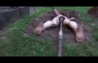 XXX النساء الجياع يحصل على برنامج تحميل افلام سكسي ديك أسود كبير