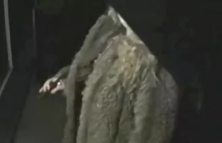 XXX أجلس على العضو وبدأت في فخ تنزيل فديو سكسي الفريسة