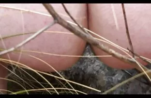 XXX كاترينا كرافن يحصل سكسي فيديو تنزيل على ديك الساخنة في حفرة berairnya!